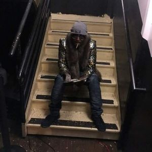 Meet your Posher, Maurice